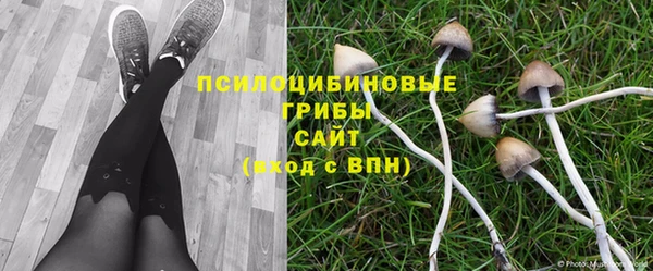 mdma Красноперекопск